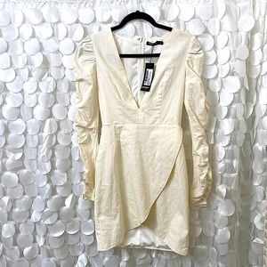 Nasty Gal Live it up plunging ruched dress size 4